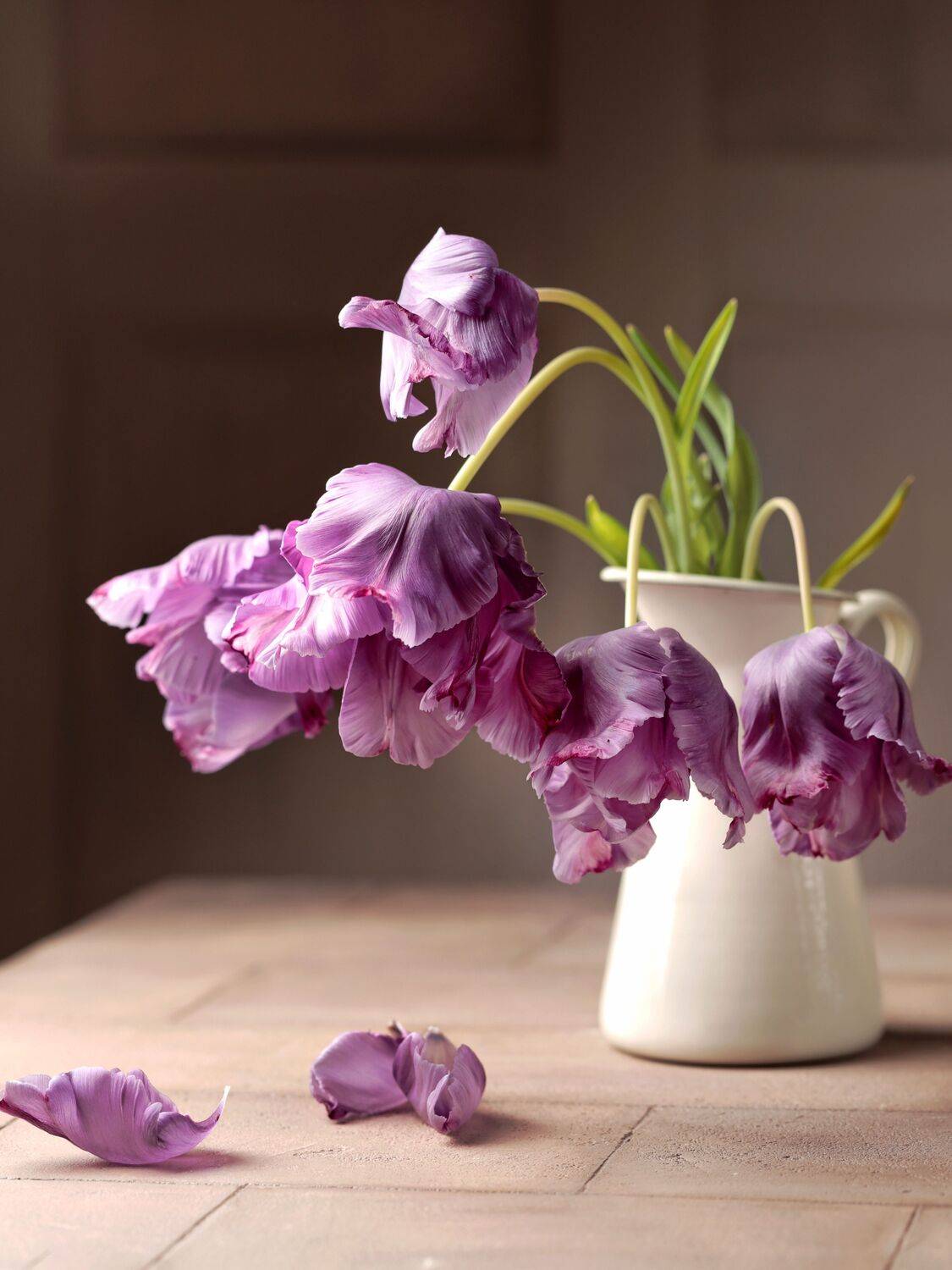 Фотография #12052947