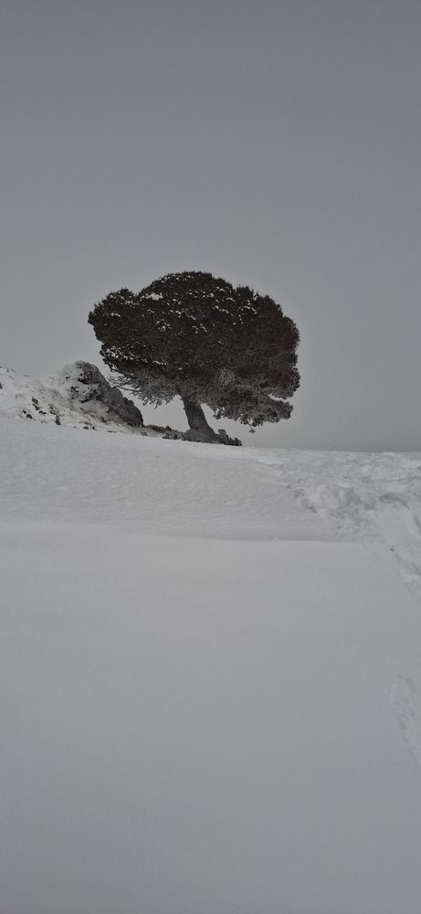 Photo #12052960