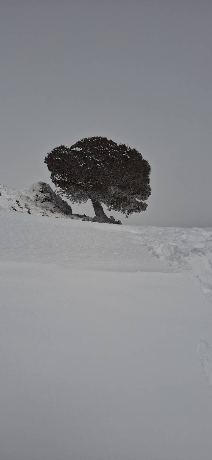 Photo #12052960