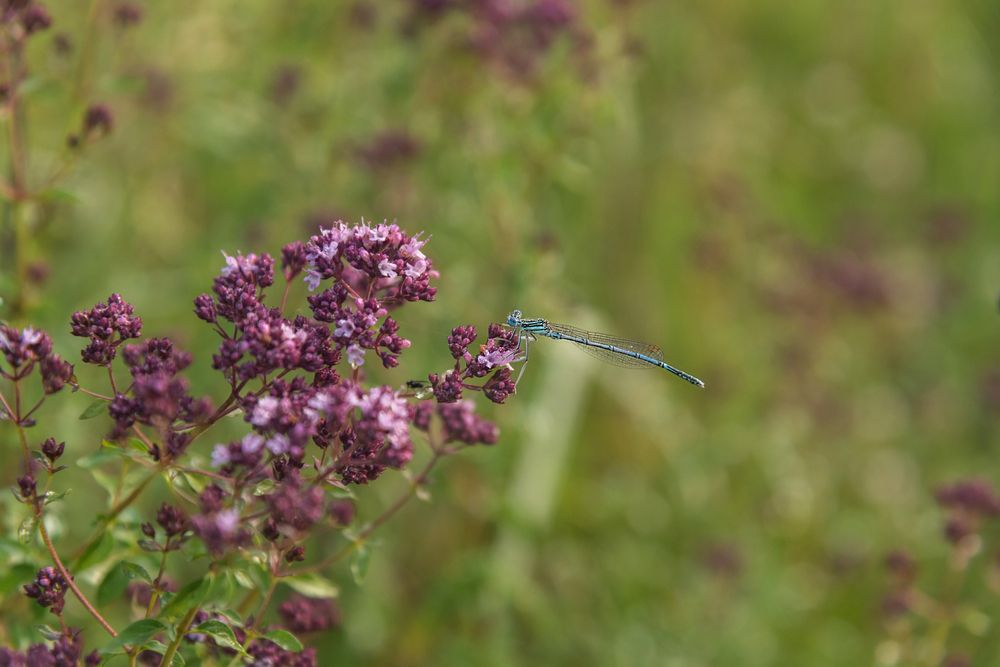 Photograph by Алексей