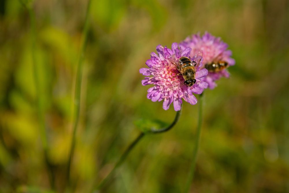 Photograph by Алексей