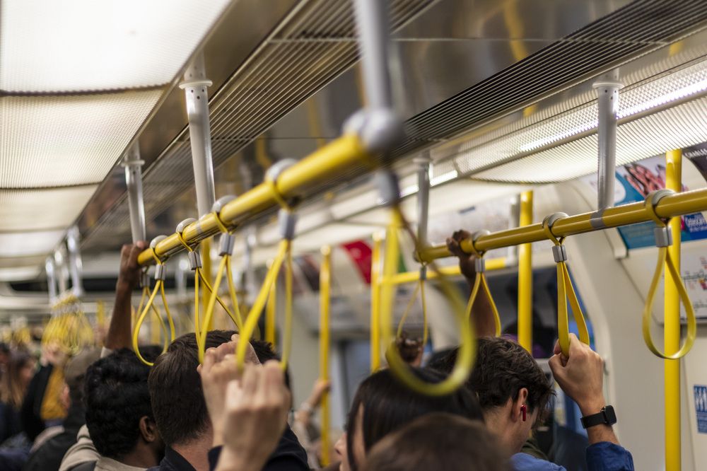 Photograph by Bhupendra Bagla