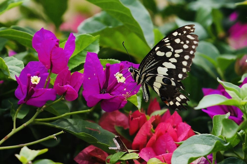 Фотография автора Леонид Голубков