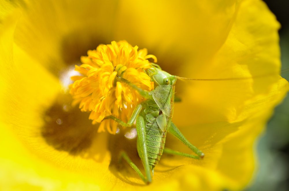 Photograph by Дмитрий Грипич