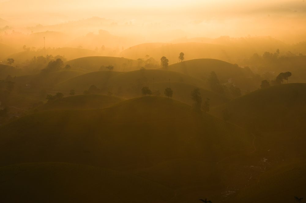 Photograph by Nguyen Minh