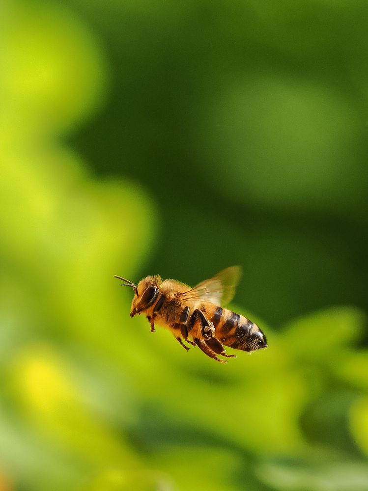Photograph by Георгий Акопджанов