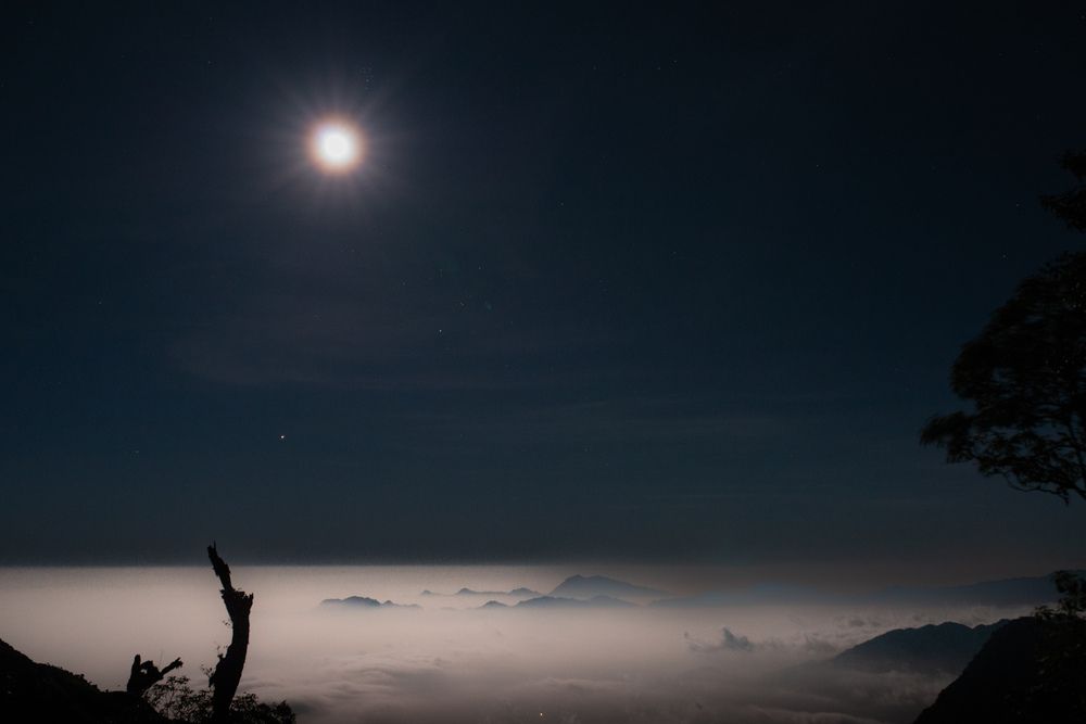 Photograph by Nguyen Minh