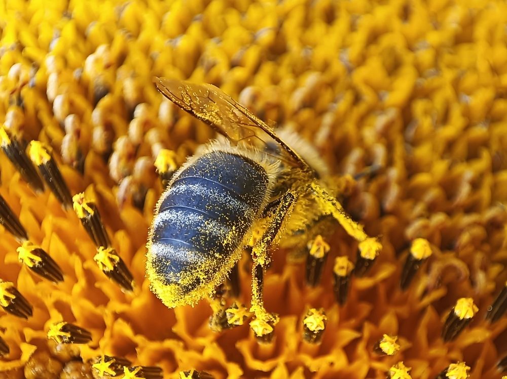 Фотография автора Ирина Романовская
