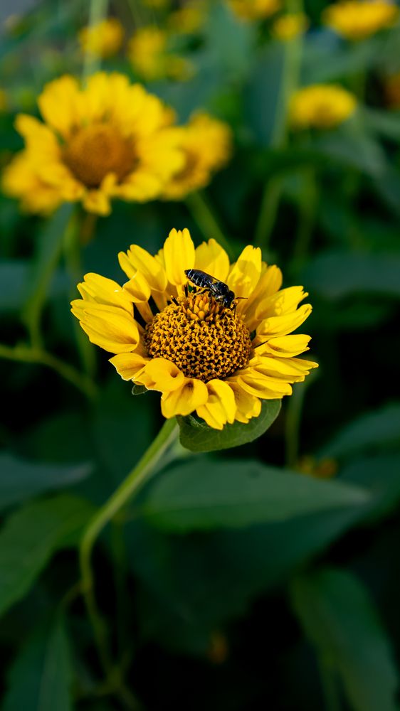 Photograph by Валерий Старков