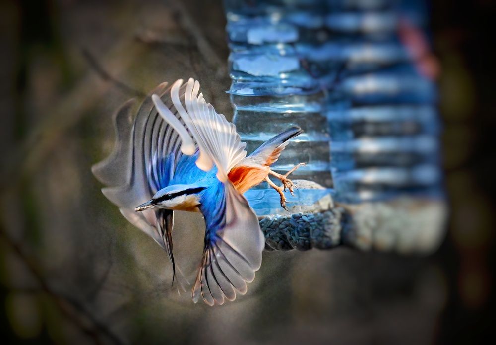 Photograph by Stella Szpinek