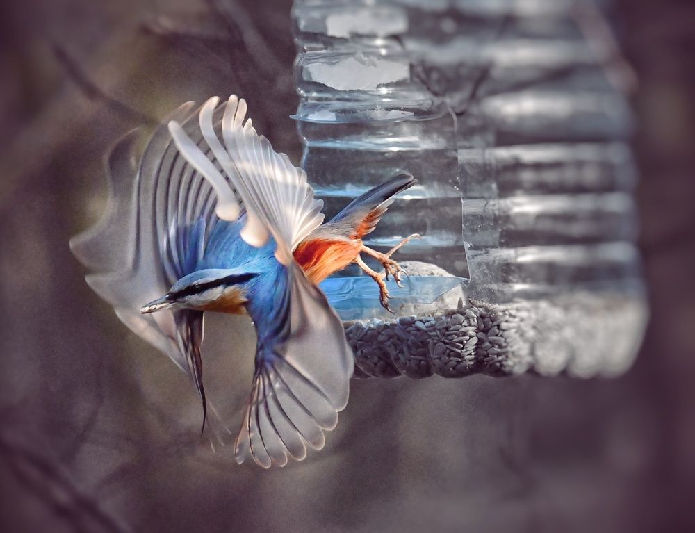 Photograph by Stella Szpinek