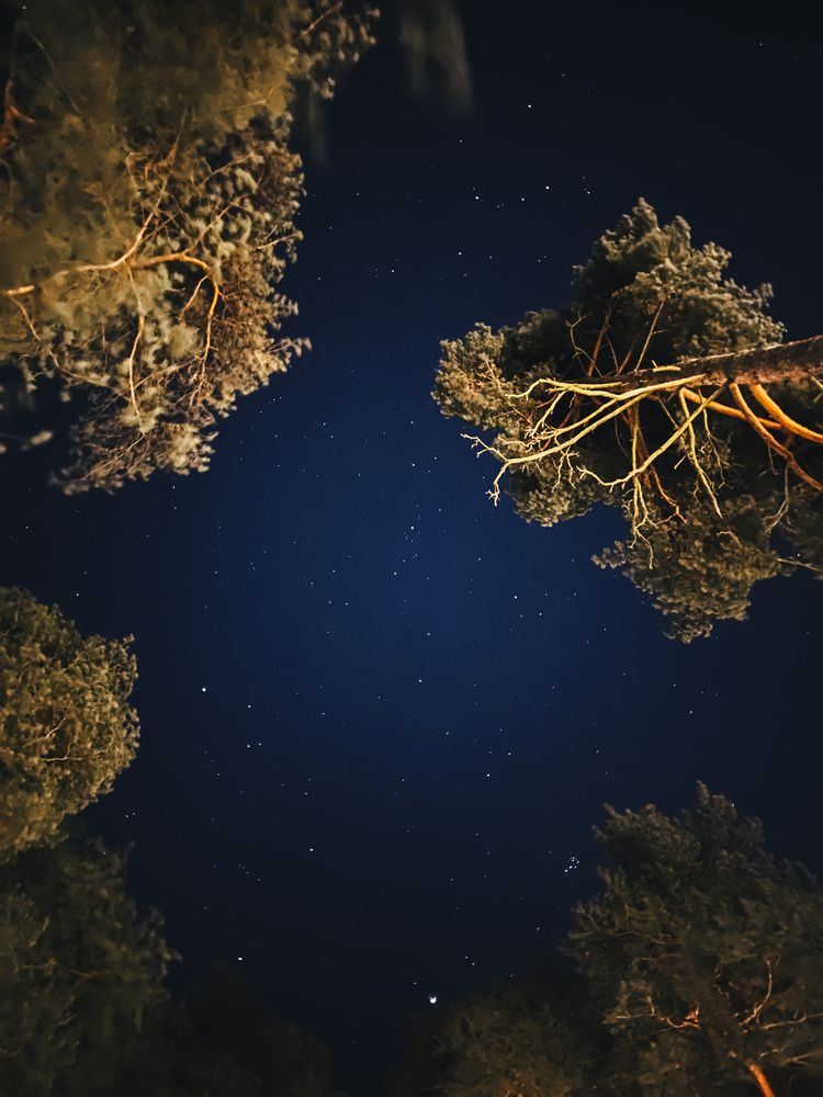 Photograph by Анна Титова