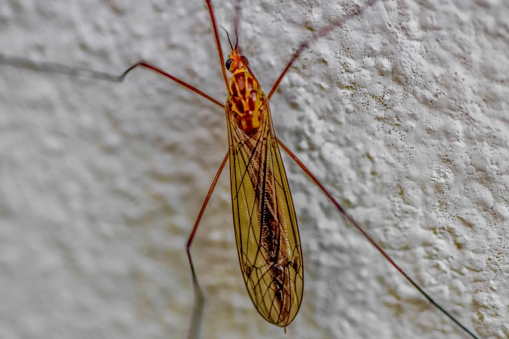 Photograph by JORGE DORANTES