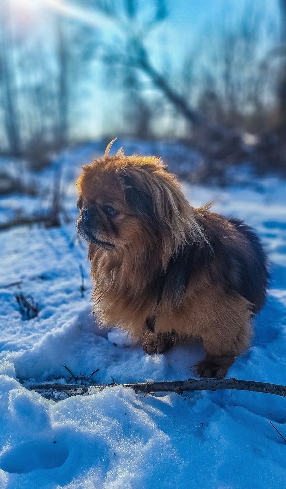 Photograph by Andrejs Peculevics