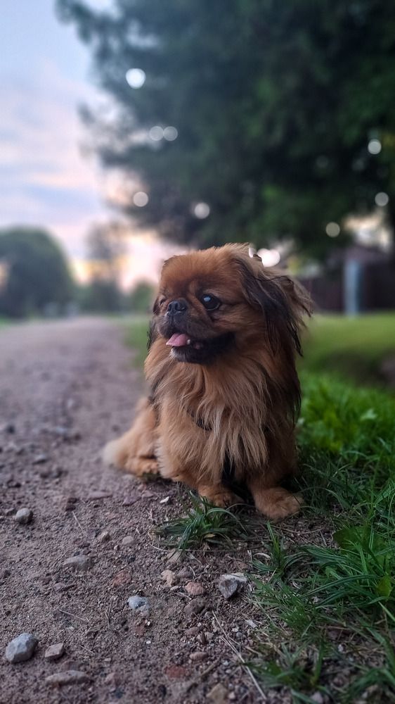 Photograph by Andrejs Peculevics