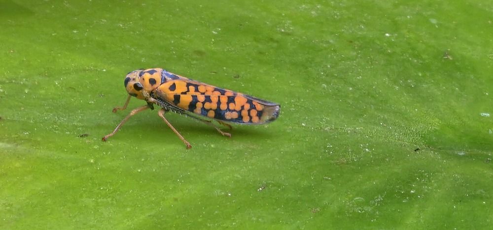 Photograph by Analía Pérez