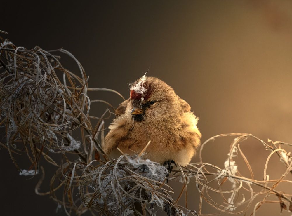 Photograph by victor talmaciu