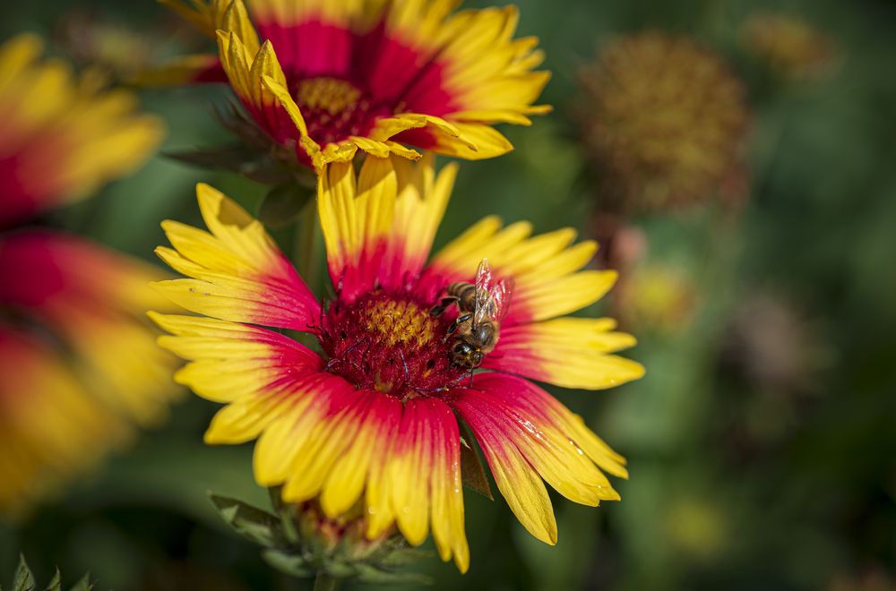 Photograph by Алексей Мякота