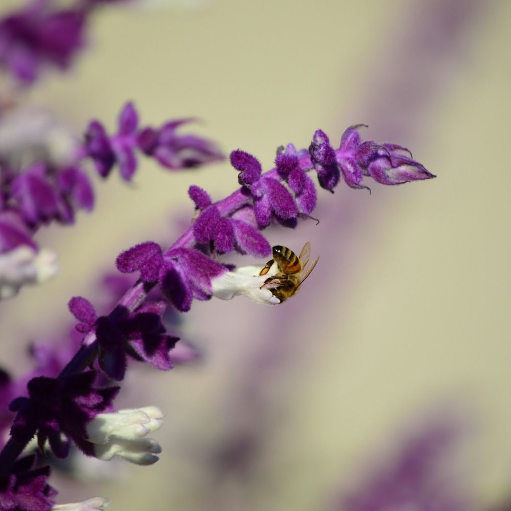 Photograph by Руслан Швиткий