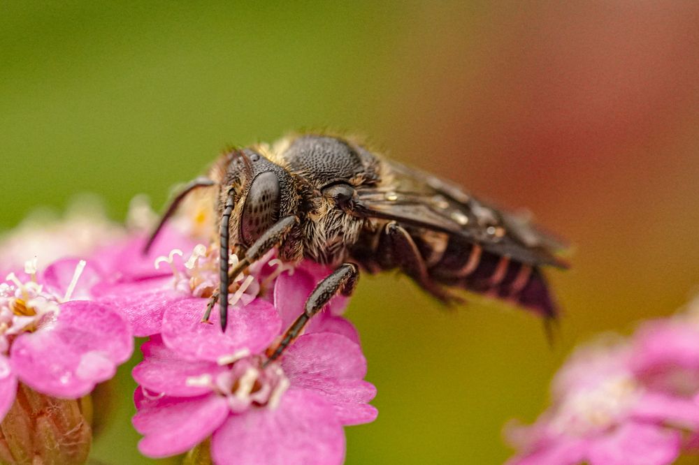 Photograph by Алфия Бугакова