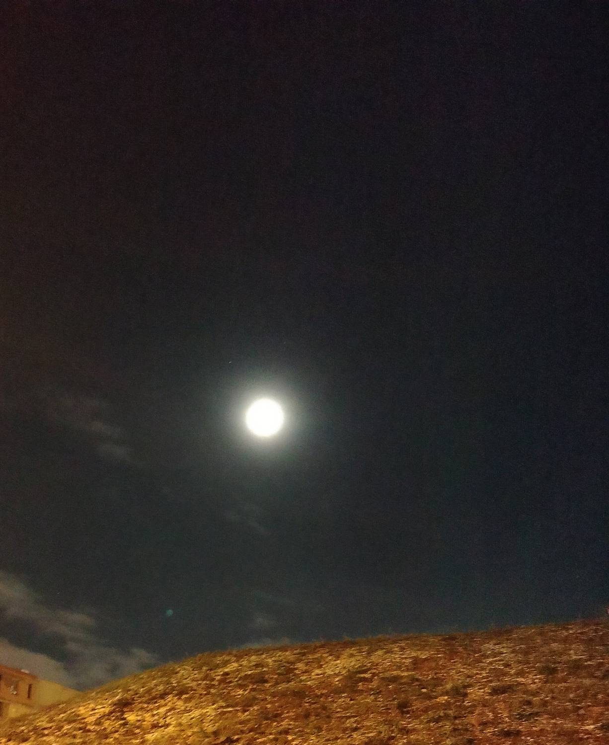 Photo #12053520
