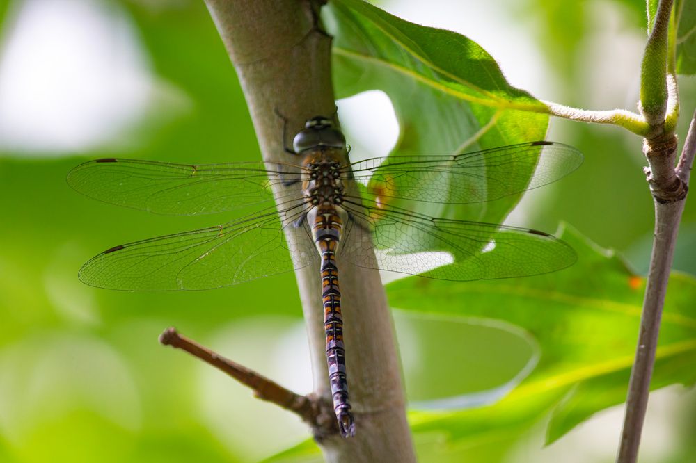 Photograph by Степан Конев