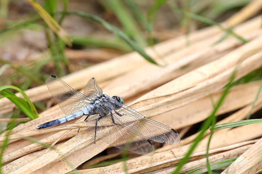 Photograph by Александр Глебов