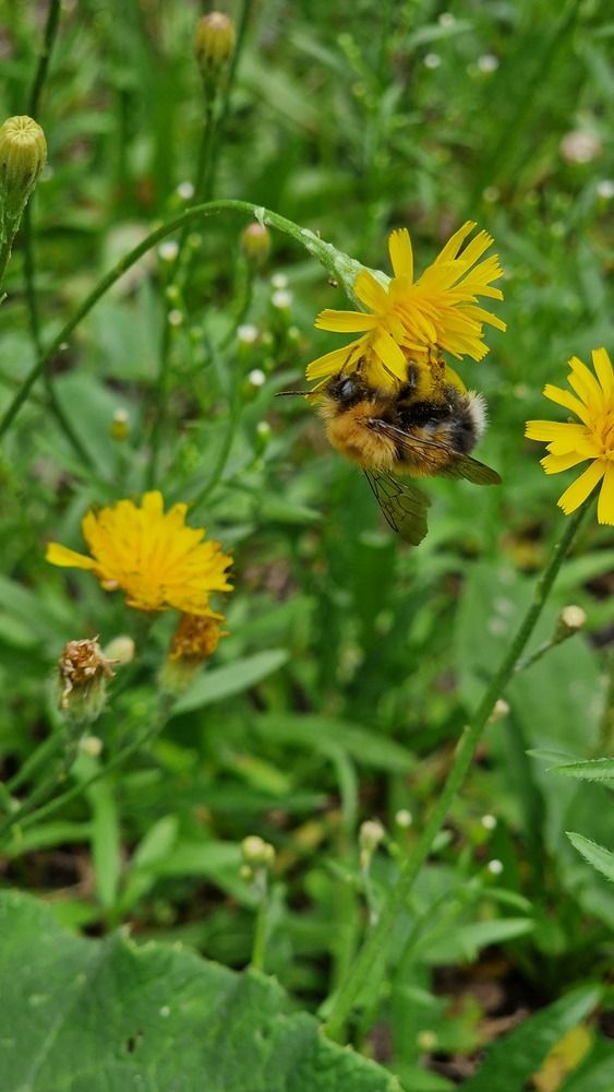 Фотография автора Ольга Быстрова