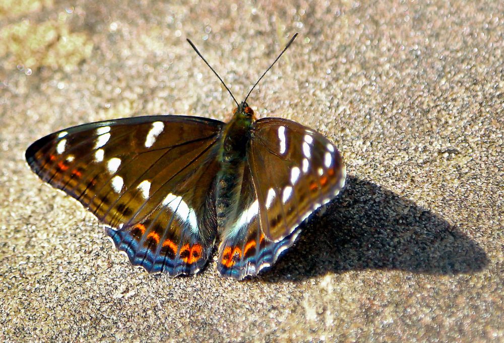 Photograph by Валентин Кузьмин