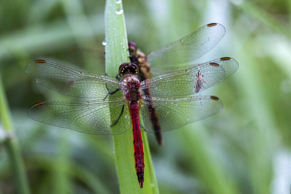 Photograph by Sergey Tsubanov