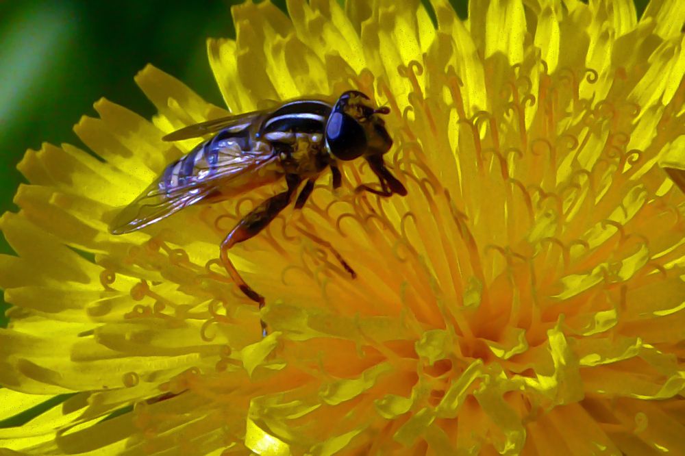 Photograph by Валентин Кузьмин