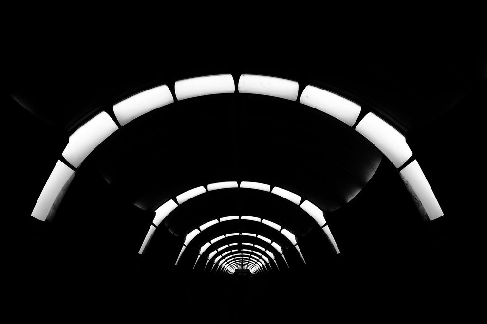 Photograph by Дмитрий Потапов