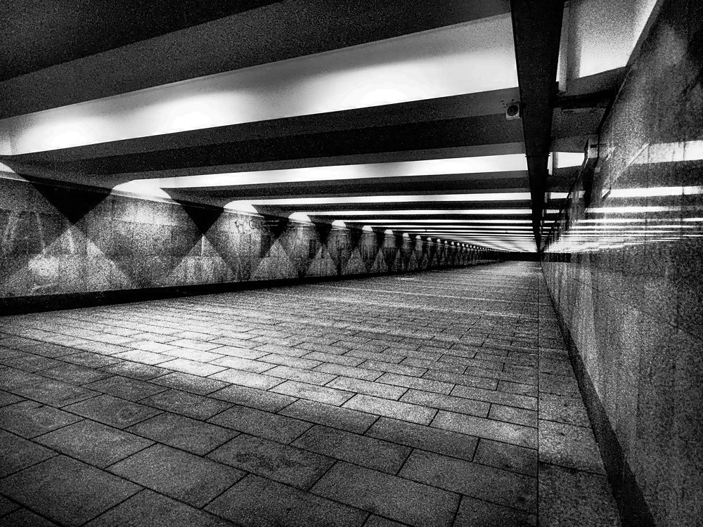 Photograph by Дмитрий Потапов