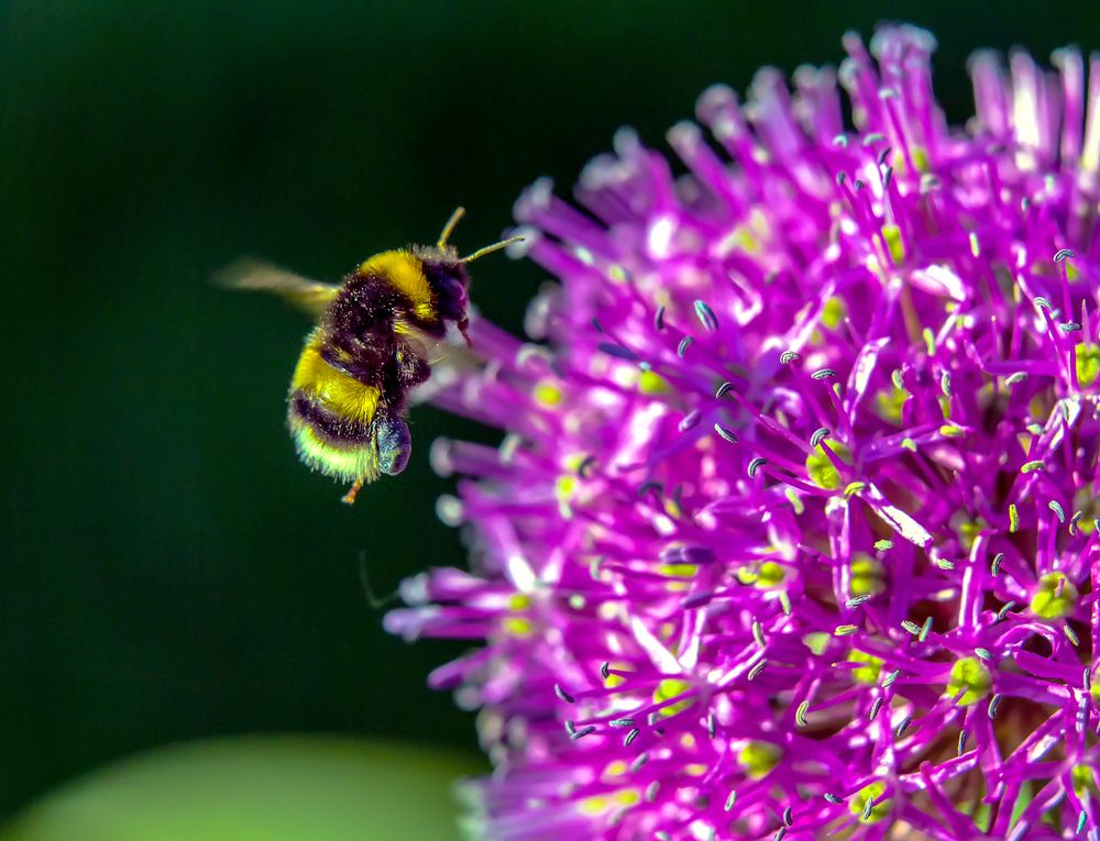 Photograph by Валентин Кузьмин