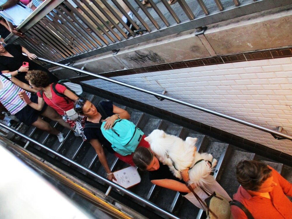 Photograph by Larisa Pirozhnikova