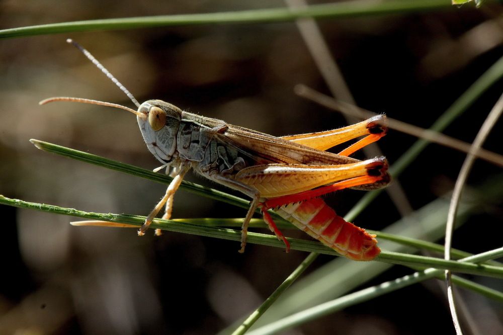 Photograph by ВАСИЛИЙ