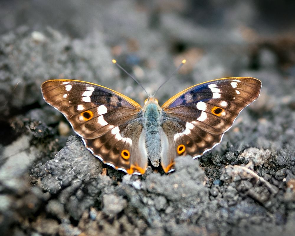 Photograph by Наталья Максимова