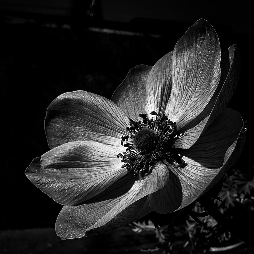 Photograph by SUZUKI Kazumichi