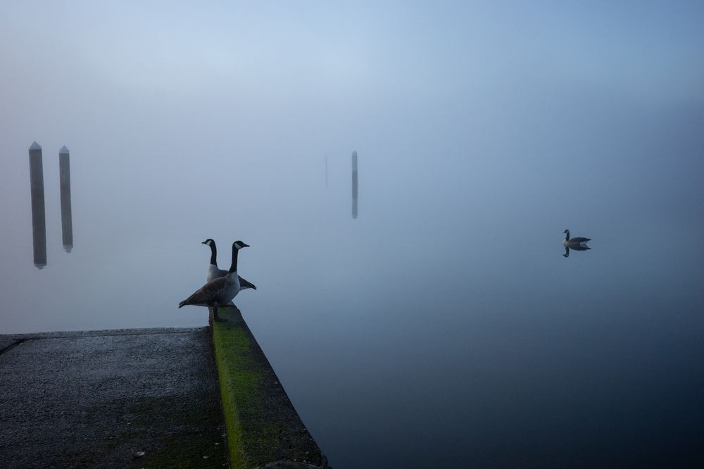 Фотография автора HIEN NHAN NGUYEN HONG