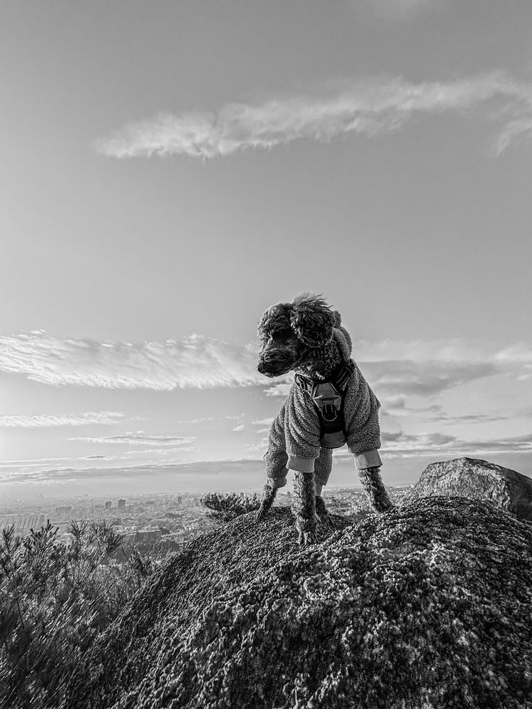 Фотография автора Mutsuaki