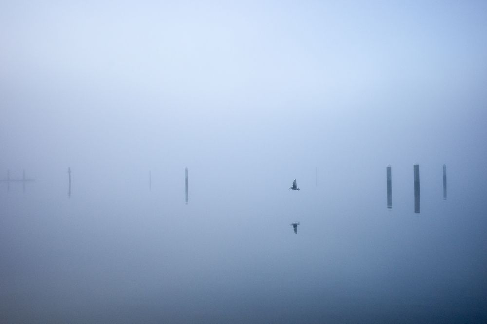 Фотография автора HIEN NHAN NGUYEN HONG