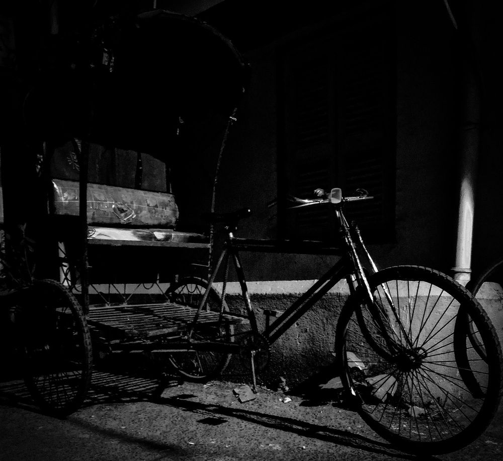 Photo #12054110