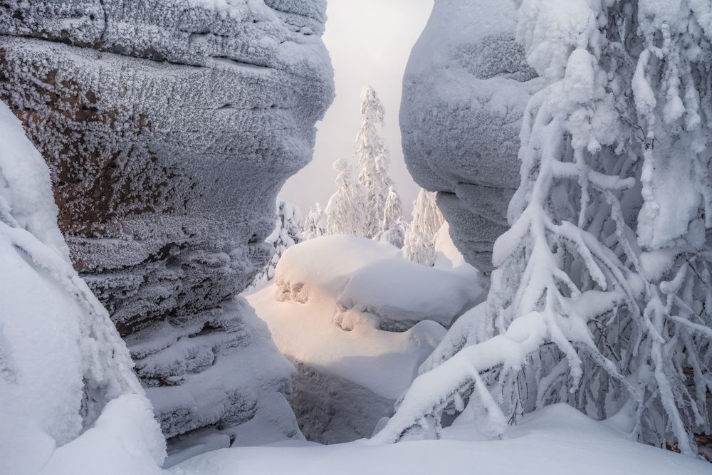 Photograph by Соколова Елена