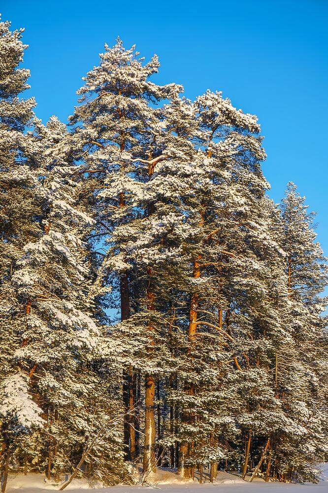 Photograph by Иван Жуков
