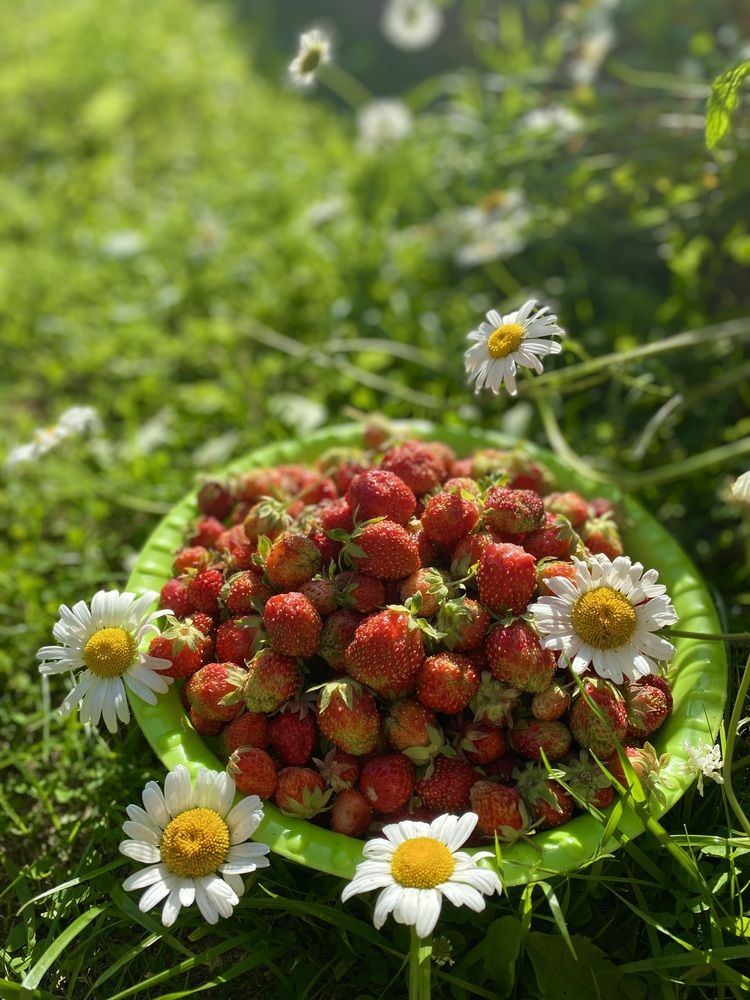 Photograph by Олеся Чистова