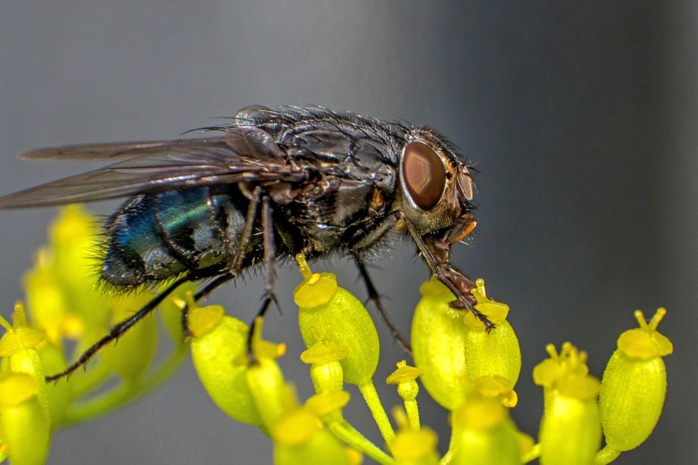 Photograph by константин