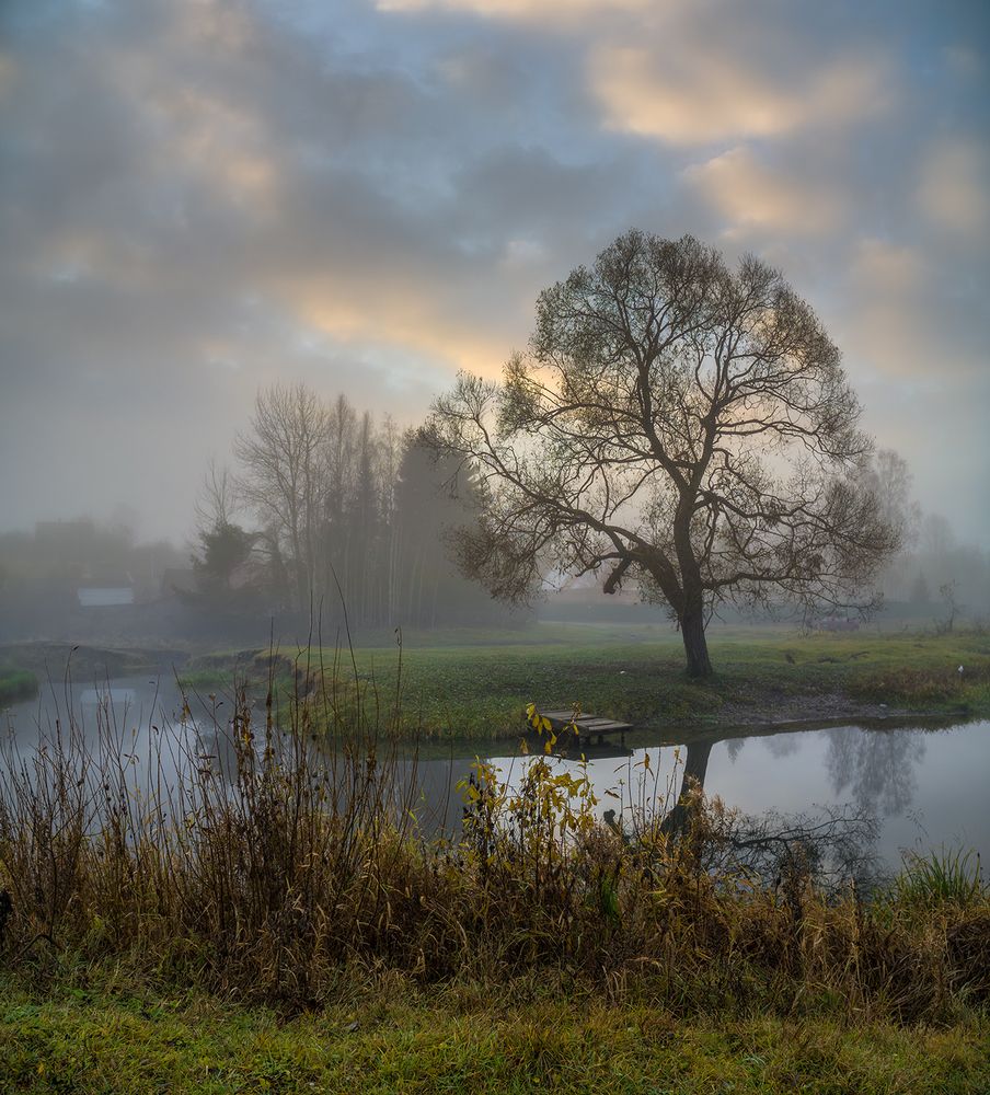 Photograph by Андреев Николай