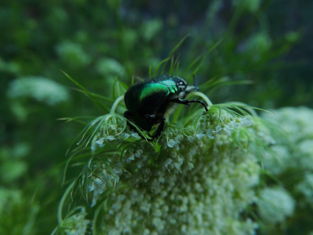 Photograph by Аспан Байтасов