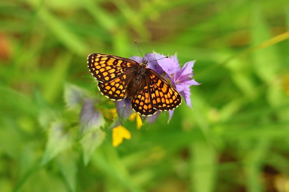 Photograph by Силушин Алексей