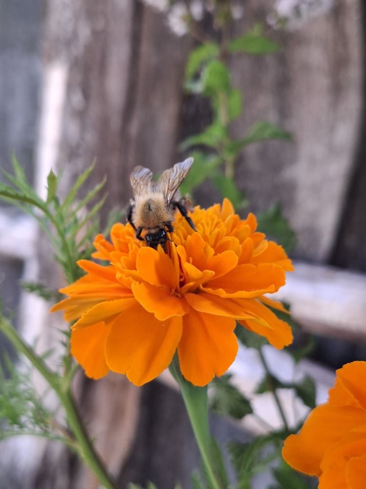 Photograph by Катерина Солдатова